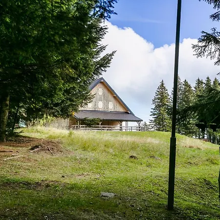 Liza & Rozi Apartment